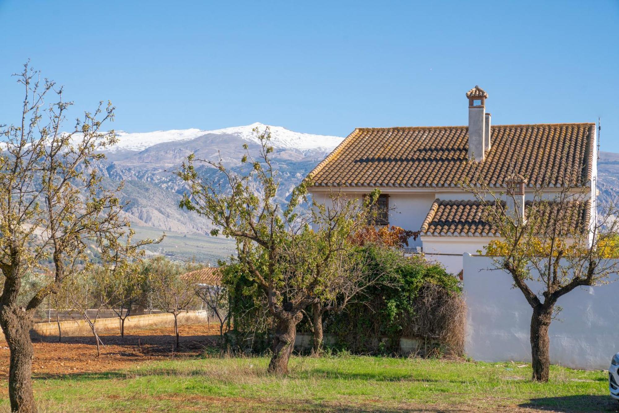 Buenos Dias Con Piscina, Barbaco Y Chimenea Padul